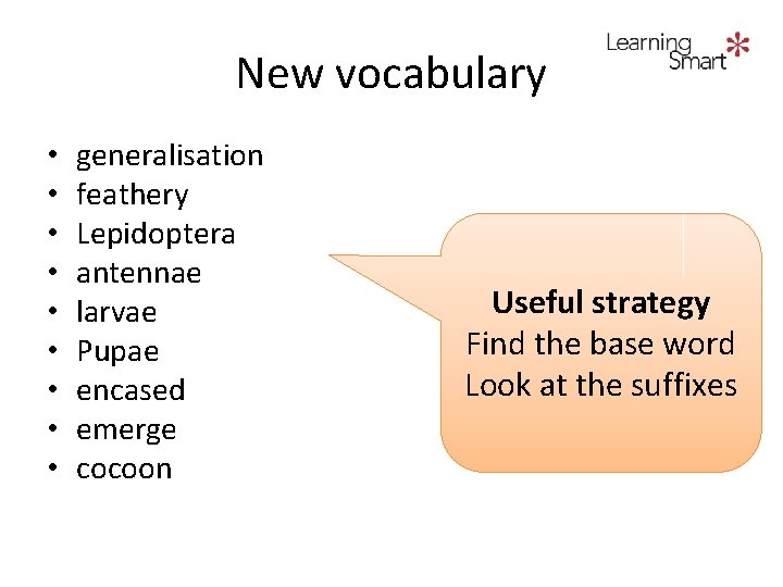 New vocabulary • • • generalisation feathery Lepidoptera antennae larvae Pupae encased emerge cocoon
