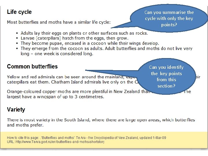 Can you summarise the cycle with only the key points? Can you identify the