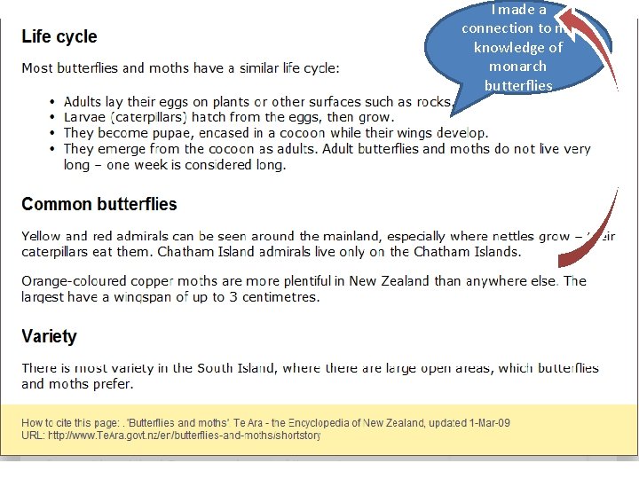 I made a connection to my knowledge of monarch butterflies 