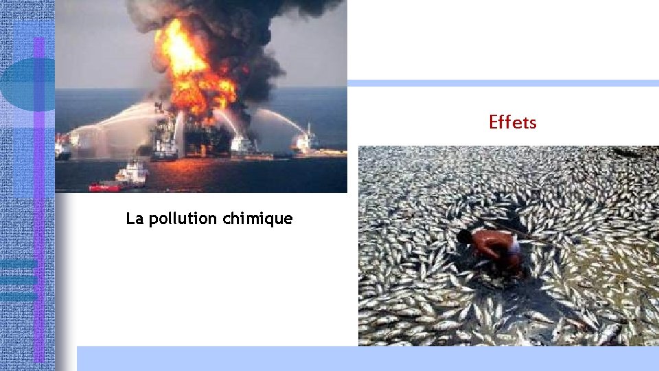 Effets La pollution chimique 