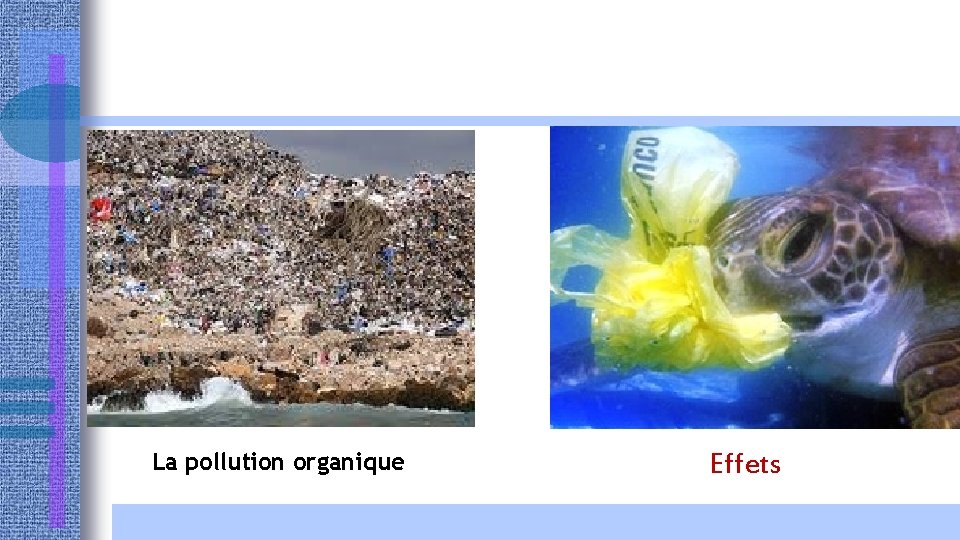 La pollution organique Effets 