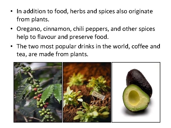  • In addition to food, herbs and spices also originate from plants. •