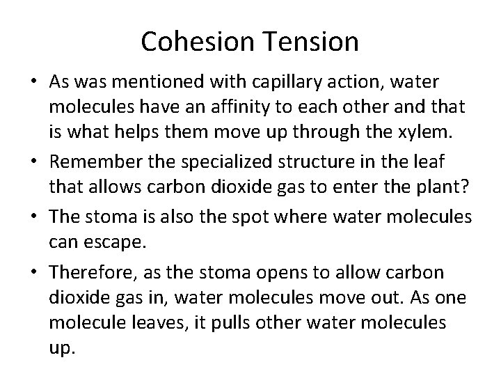 Cohesion Tension • As was mentioned with capillary action, water molecules have an affinity