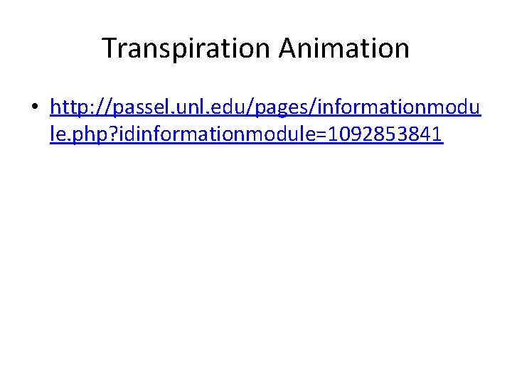 Transpiration Animation • http: //passel. unl. edu/pages/informationmodu le. php? idinformationmodule=1092853841 