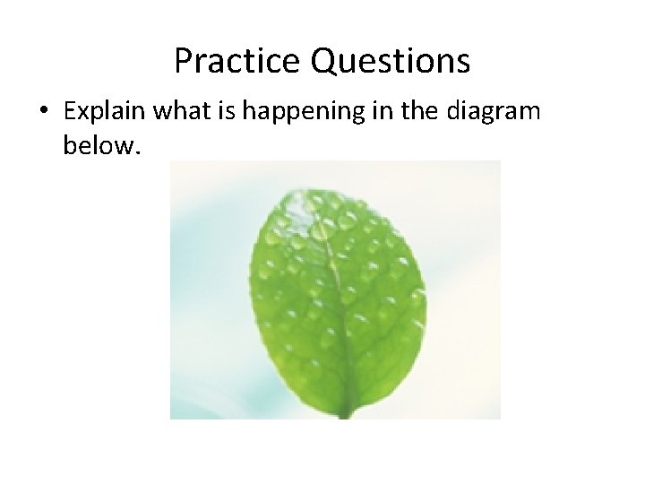 Practice Questions • Explain what is happening in the diagram below. 