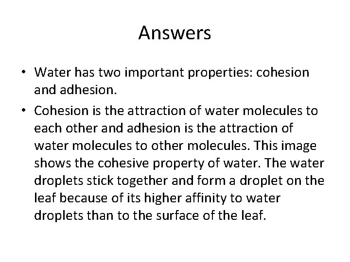 Answers • Water has two important properties: cohesion and adhesion. • Cohesion is the