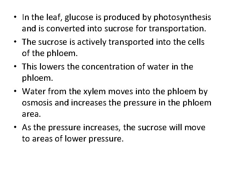  • In the leaf, glucose is produced by photosynthesis and is converted into