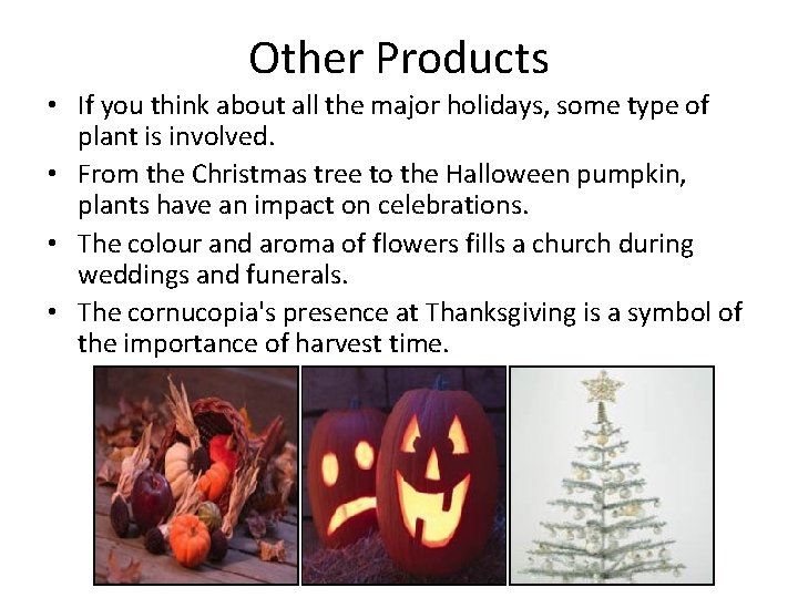 Other Products • If you think about all the major holidays, some type of