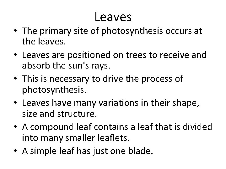 Leaves • The primary site of photosynthesis occurs at the leaves. • Leaves are