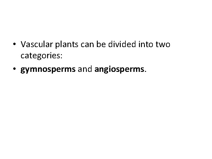  • Vascular plants can be divided into two categories: • gymnosperms and angiosperms.