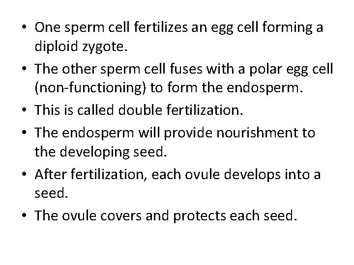  • One sperm cell fertilizes an egg cell forming a diploid zygote. •