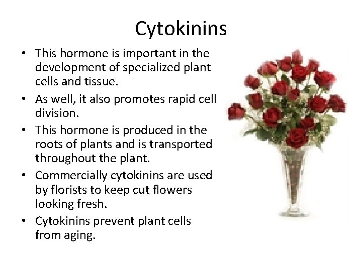 Cytokinins • This hormone is important in the development of specialized plant cells and