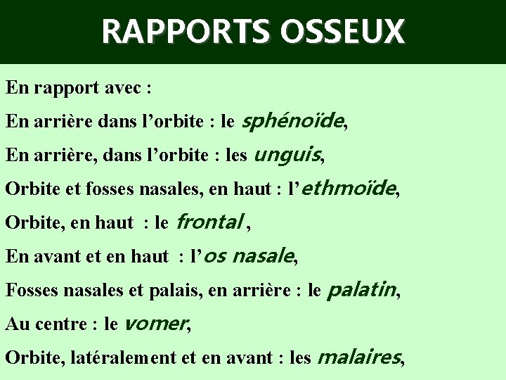 RAPPORTS OSSEUX En rapport avec : En arrière dans l’orbite : le sphénoïde, En