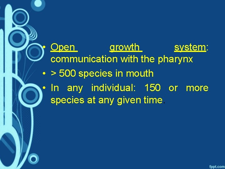  • Open growth system: communication with the pharynx • > 500 species in