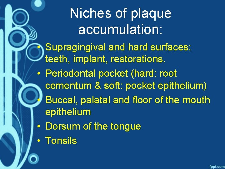 Niches of plaque accumulation: • Supragingival and hard surfaces: teeth, implant, restorations. • Periodontal