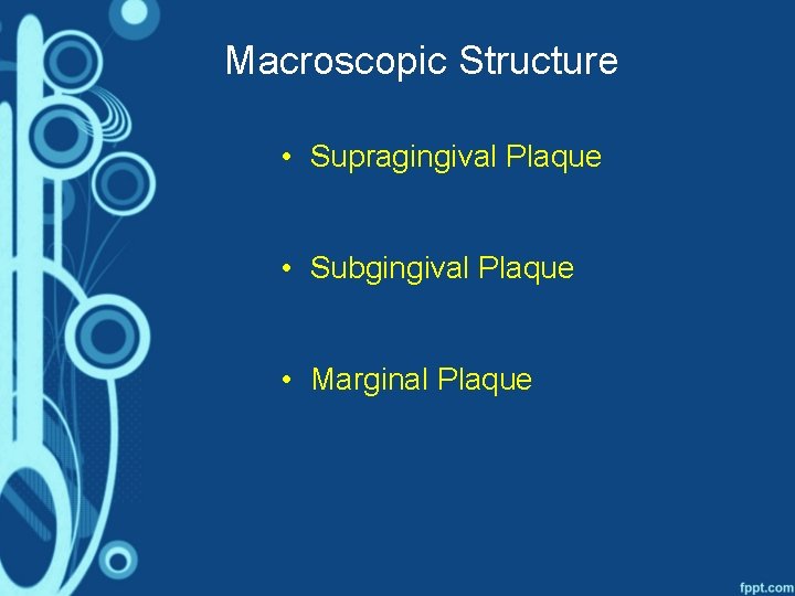 Macroscopic Structure • Supragingival Plaque • Subgingival Plaque • Marginal Plaque 