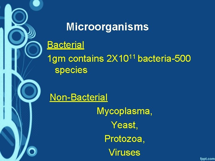 Microorganisms Bacterial 1 gm contains 2 X 1011 bacteria-500 species Non-Bacterial Mycoplasma, Yeast, Protozoa,