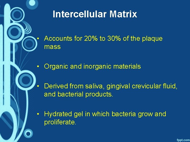 Intercellular Matrix • Accounts for 20% to 30% of the plaque mass • Organic