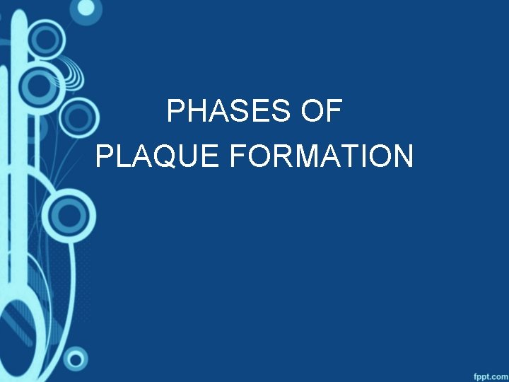 PHASES OF PLAQUE FORMATION 