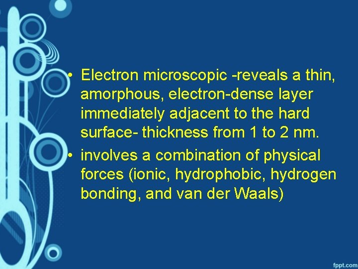  • Electron microscopic -reveals a thin, amorphous, electron-dense layer immediately adjacent to the