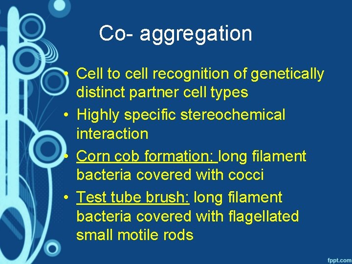 Co- aggregation • Cell to cell recognition of genetically distinct partner cell types •
