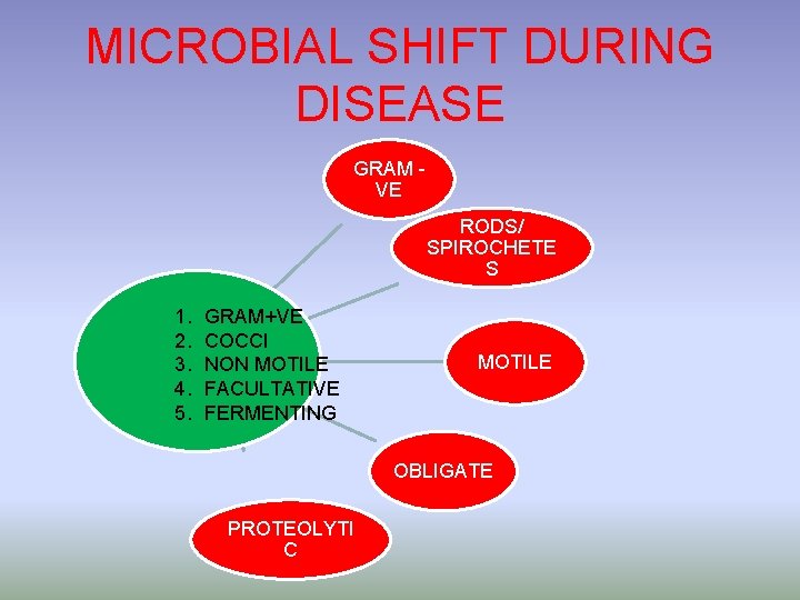 MICROBIAL SHIFT DURING DISEASE GRAM VE RODS/ SPIROCHETE S 1. 2. 3. 4. 5.