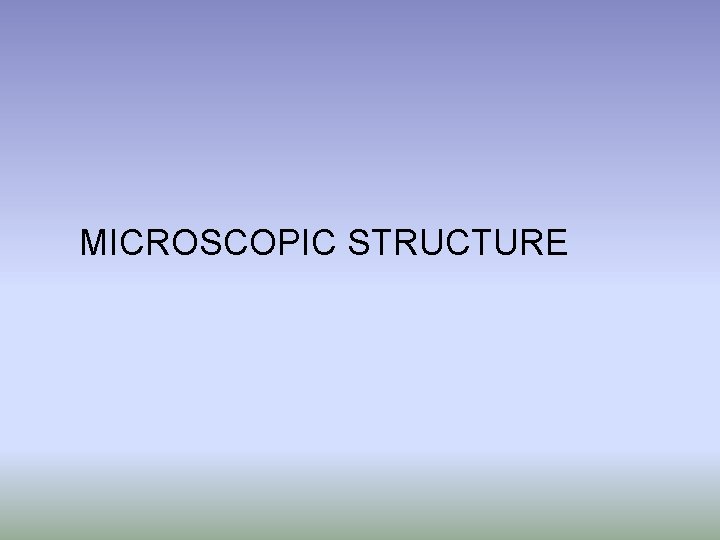 MICROSCOPIC STRUCTURE 