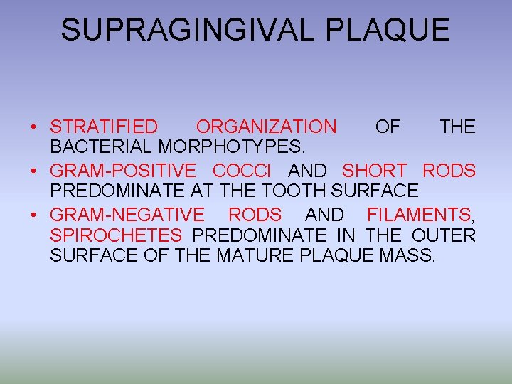 SUPRAGINGIVAL PLAQUE • STRATIFIED ORGANIZATION OF THE BACTERIAL MORPHOTYPES. • GRAM-POSITIVE COCCI AND SHORT