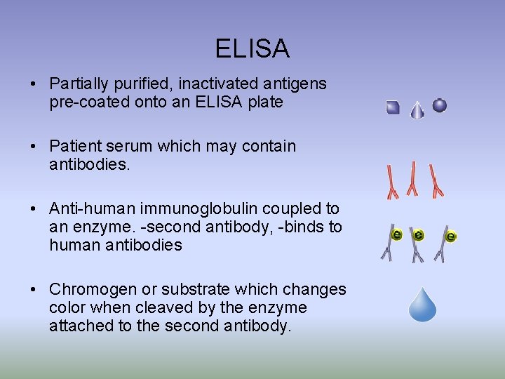 ELISA • Partially purified, inactivated antigens pre-coated onto an ELISA plate • Patient serum