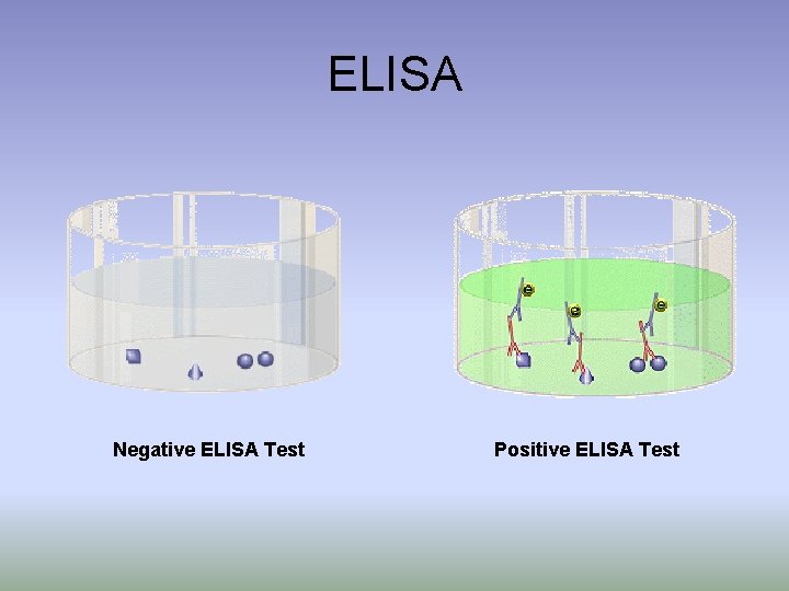 ELISA Negative ELISA Test Positive ELISA Test 