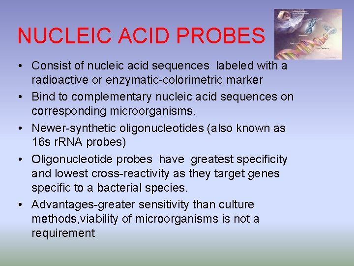NUCLEIC ACID PROBES • Consist of nucleic acid sequences labeled with a radioactive or