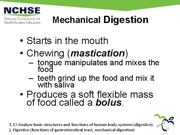 Mechanical Digestion • Starts in the mouth • Chewing (mastication) – tongue manipulates and