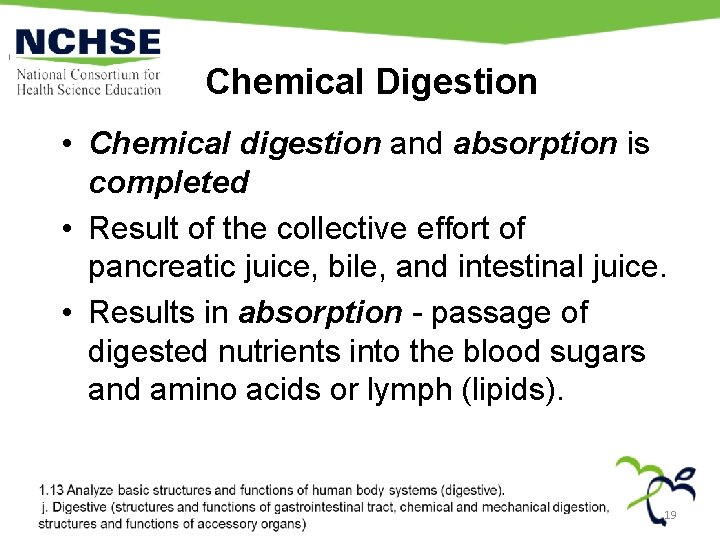 Chemical Digestion • Chemical digestion and absorption is completed • Result of the collective