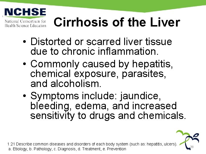 Cirrhosis of the Liver • Distorted or scarred liver tissue due to chronic inflammation.