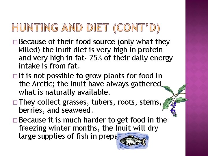 � Because of their food source (only what they killed) the Inuit diet is