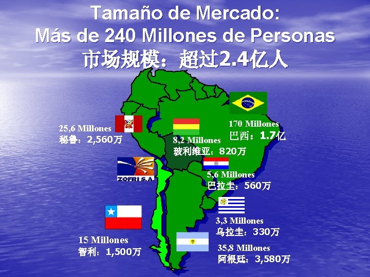 Tamaño de Mercado: Más de 240 Millones de Personas 市场规模：超过2. 4亿人 25, 6 Millones