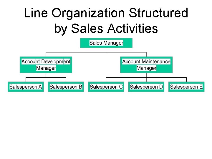 Line Organization Structured by Sales Activities Line Organization Structured by Sales Activities
