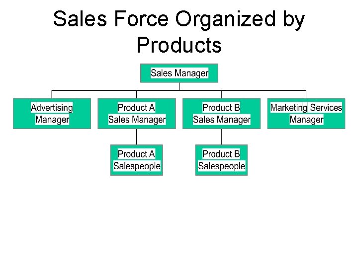 Sales Force Organized by Products Sales Force Organized by Products