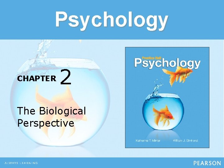 Psychology CHAPTER 2 The Biological Perspective 