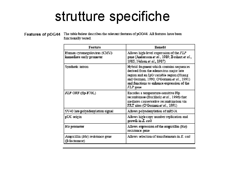 strutture specifiche strutture specifiche