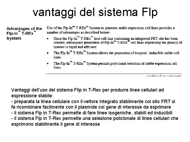 vantaggi del sistema Flp Vantaggi dell’uso del sistema Flip in T-Rex per produrre linee