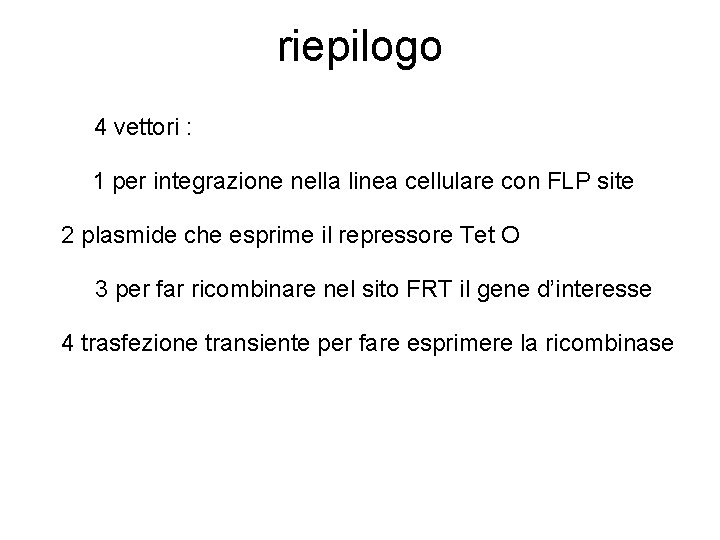 riepilogo 4 vettori : 1 per integrazione nella linea cellulare con FLP site 2