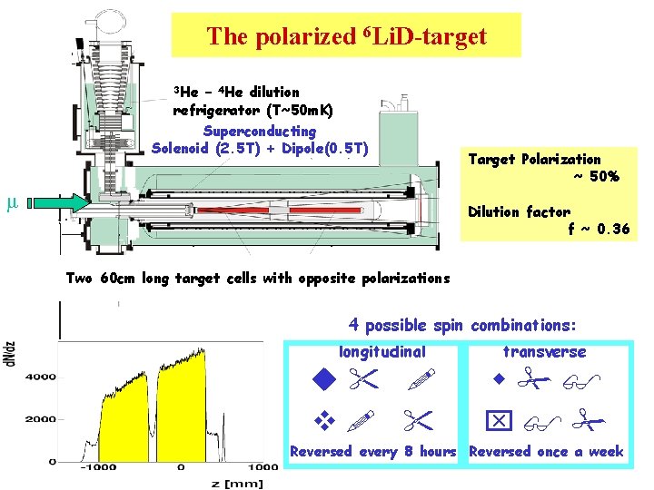 The polarized 6 Li. D-target 3 He – 4 He dilution refrigerator (T~50 m.