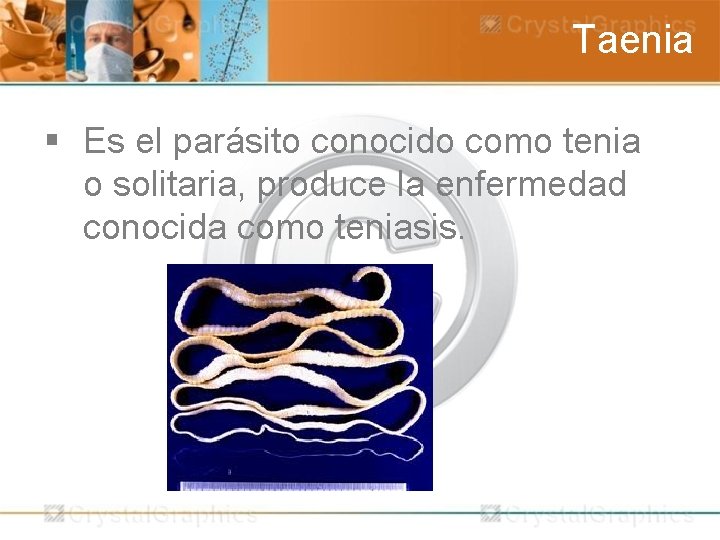 Taenia § Es el parásito conocido como tenia o solitaria, produce la enfermedad conocida