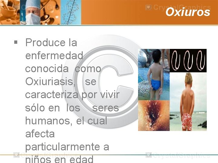 Oxiuros § Produce la enfermedad conocida como Oxiuriasis, se caracteriza por vivir sólo en