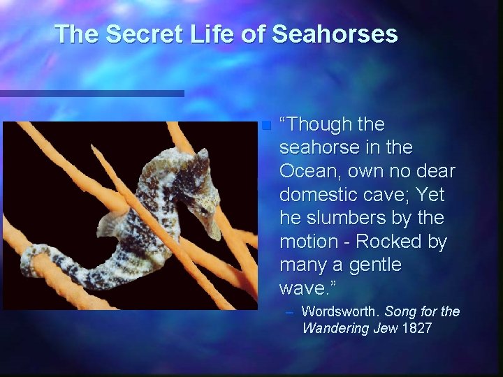The Secret Life of Seahorses n “Though the seahorse in the Ocean, own no