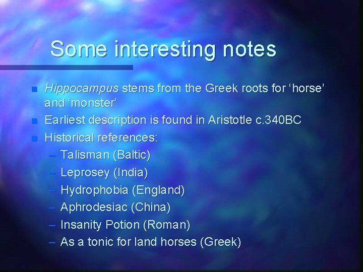 Some interesting notes n n n Hippocampus stems from the Greek roots for ‘horse’