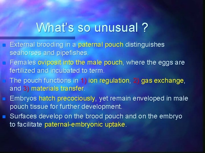 What’s so unusual ? n n n External brooding in a paternal pouch distinguishes