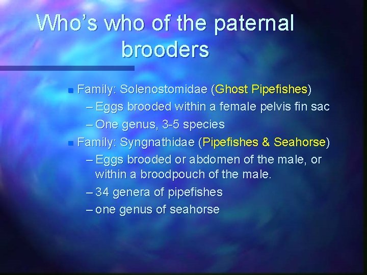 Who’s who of the paternal brooders Family: Solenostomidae (Ghost Pipefishes) – Eggs brooded within
