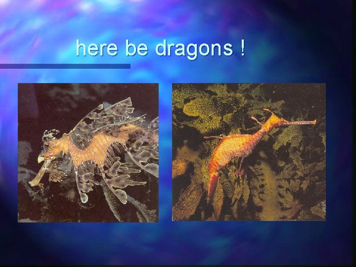 here be dragons ! 